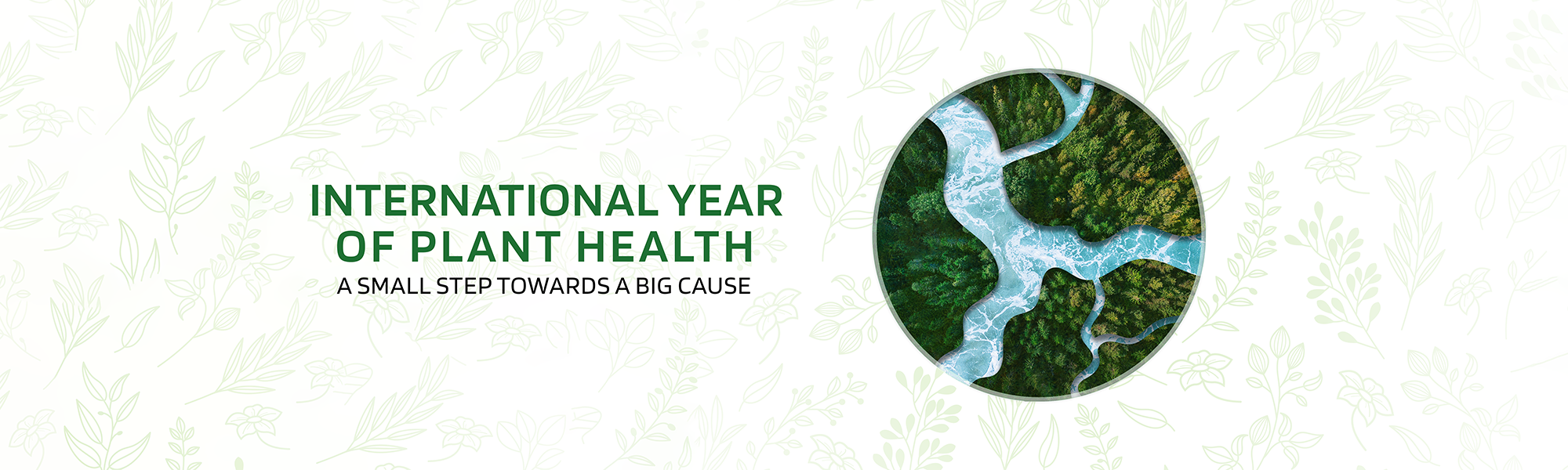International Year of Plant Health 
